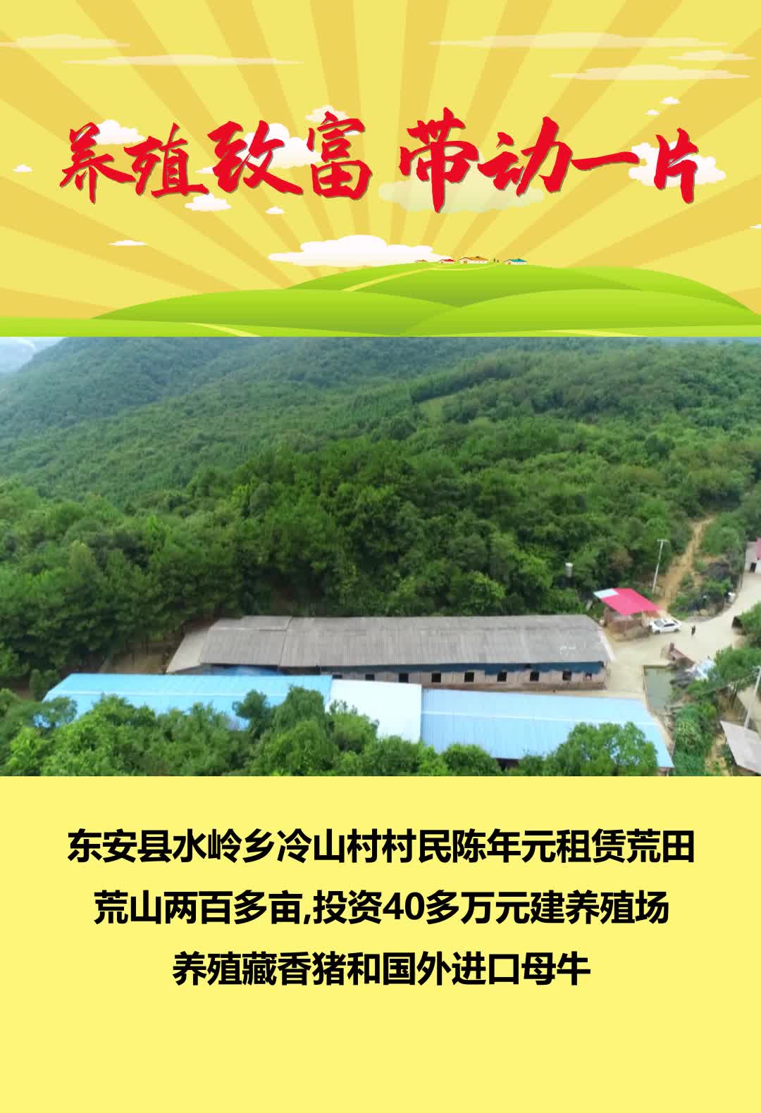 陳年元：棄商養(yǎng)殖 帶動(dòng)一片