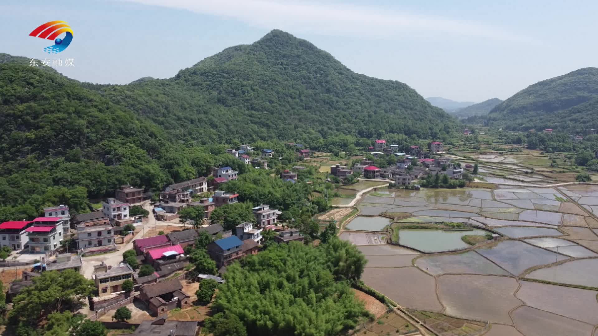 東安：加強田間管護  確保夏糧豐收