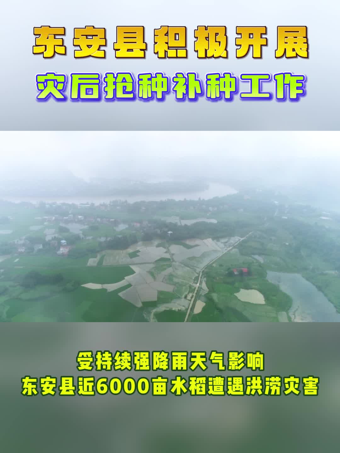 东安：积极开展灾后抢种补种工作