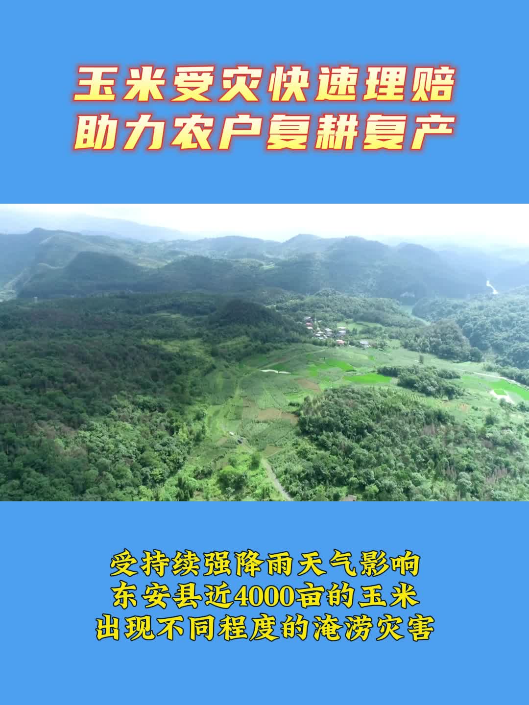 东安：玉米受灾快速理赔 助力农户复耕复产