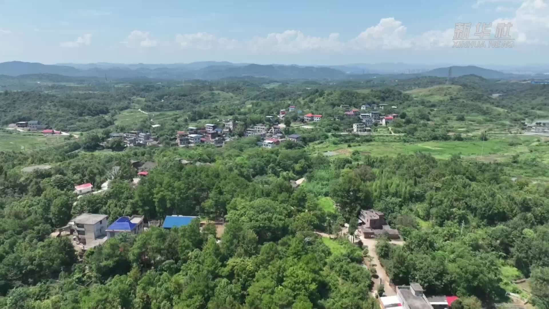 央媒看東安 | 湖南東安：蛋鴨離水上架成興村產(chǎn)業(yè)