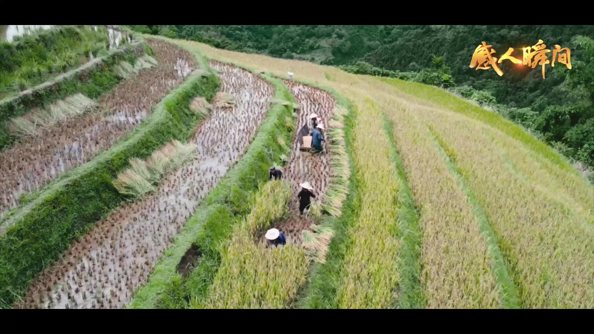 2025年“五一”國際勞動(dòng)節、“五四”青年節公益宣傳“感人瞬間”（四）——《微光星?！? />
                                        </a>
                                                                        <div   id=