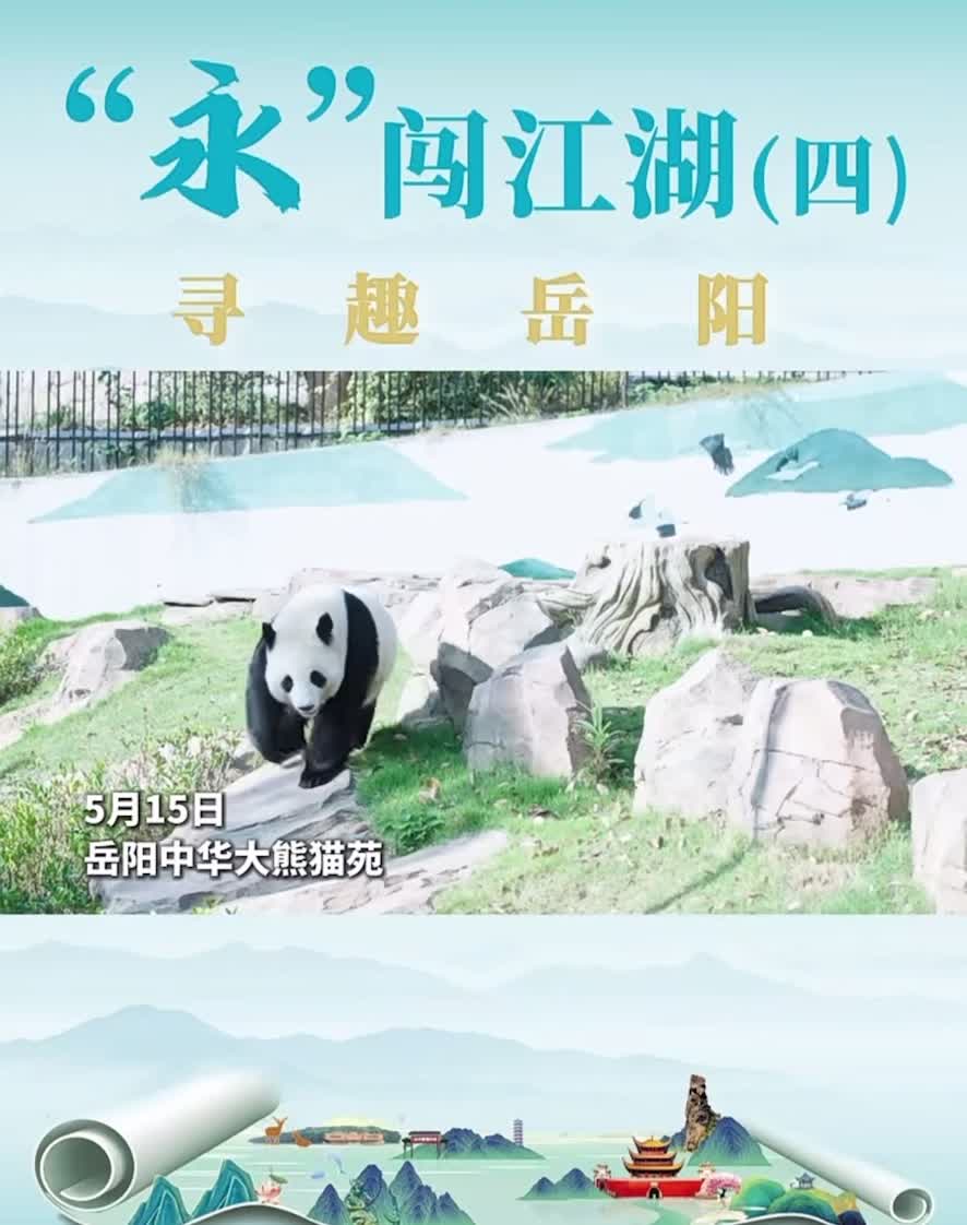 “永”闖江湖 尋趣岳陽(yáng)（四）