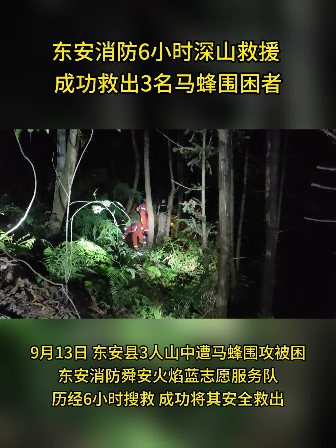 東安：消防6小時深山救援 成功救出3名馬蜂圍困者