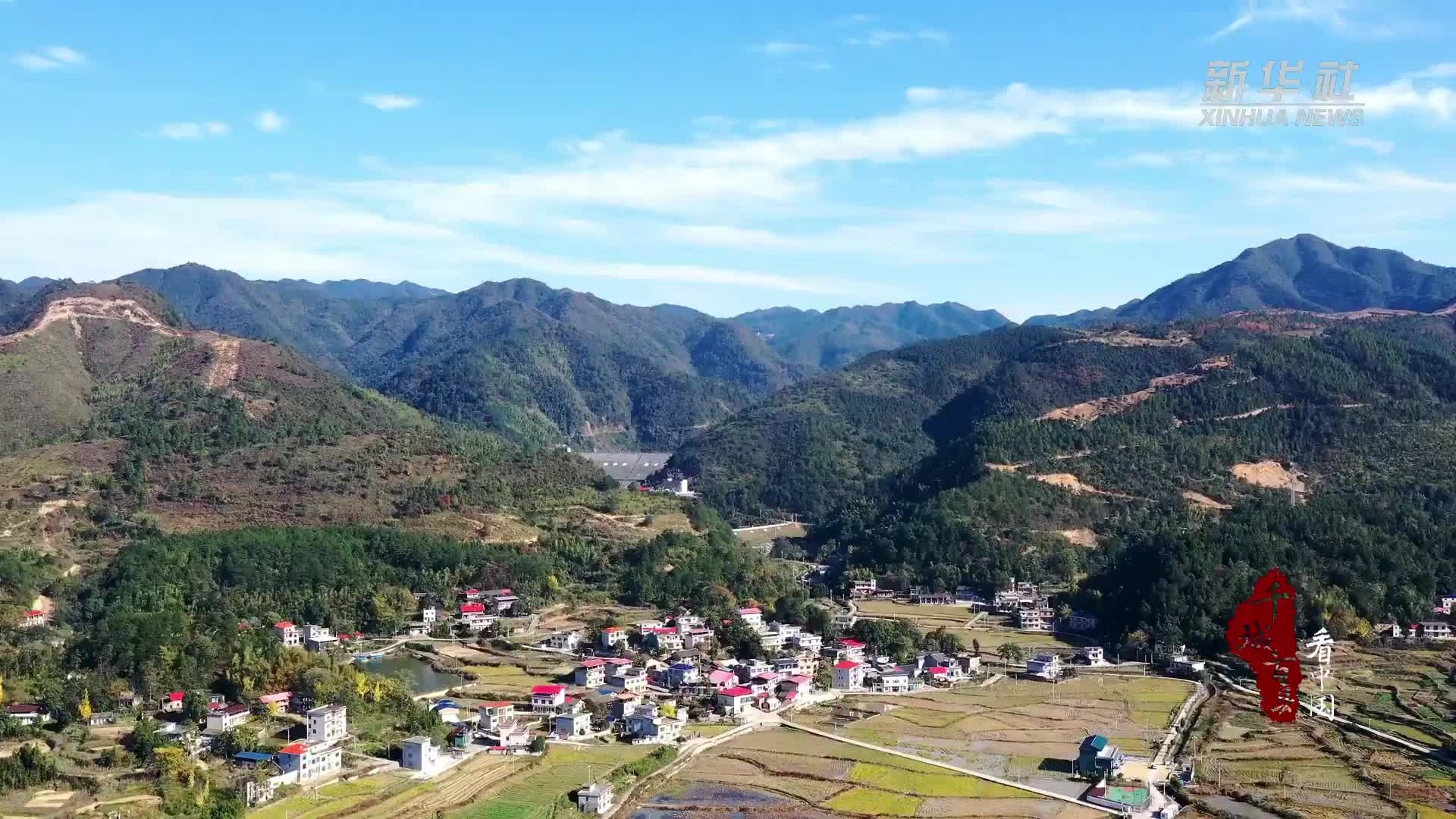 湖南东安：“树说”和美乡村