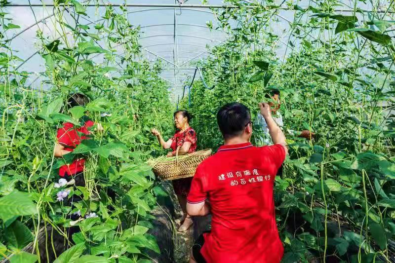 东安农商行 建设有温度的百姓银行 新闻内容 东安新闻网