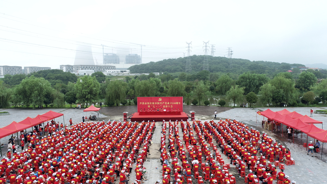 蘆洪市鎮(zhèn)舉行慶祝建黨一百周年暨“七一”表彰會(huì)