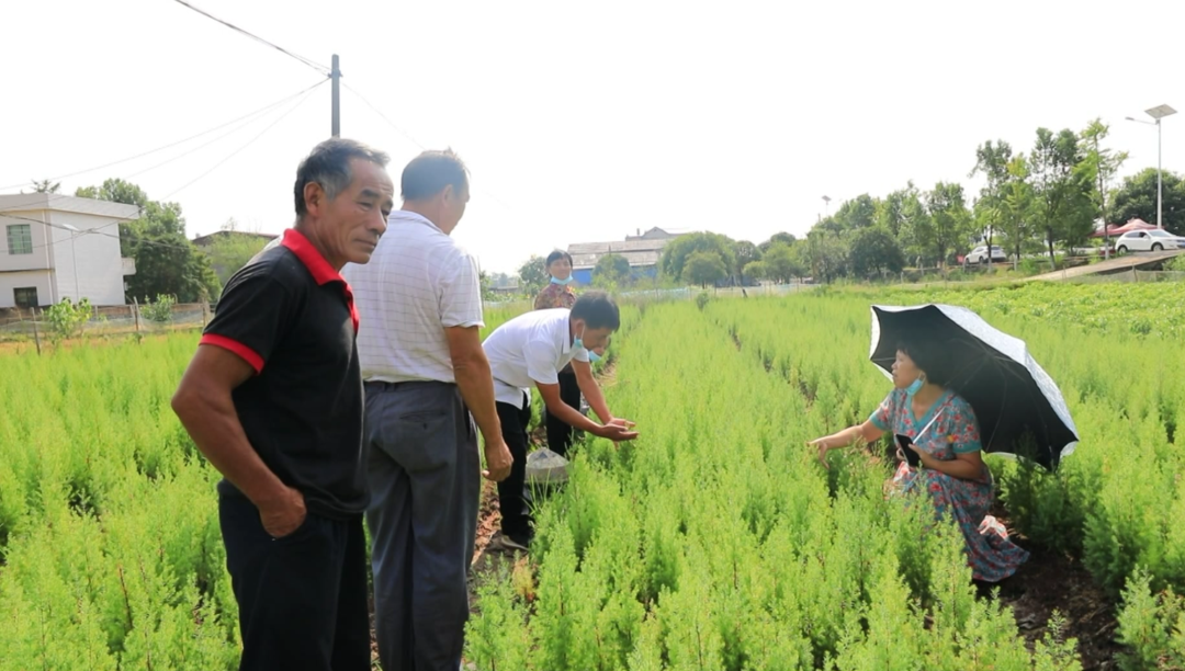 市勞模助力鄉村振興行動系列活動走進大廟口