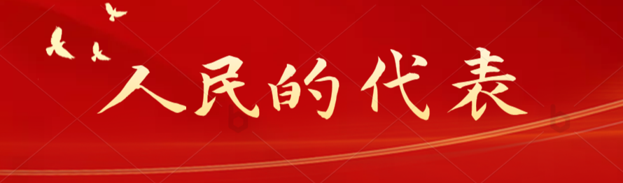 人民的代表