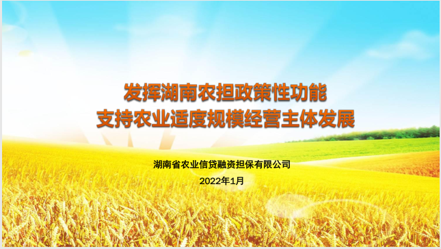 发挥湖南农担政策性功能 支持农业适度规模经营主体发展