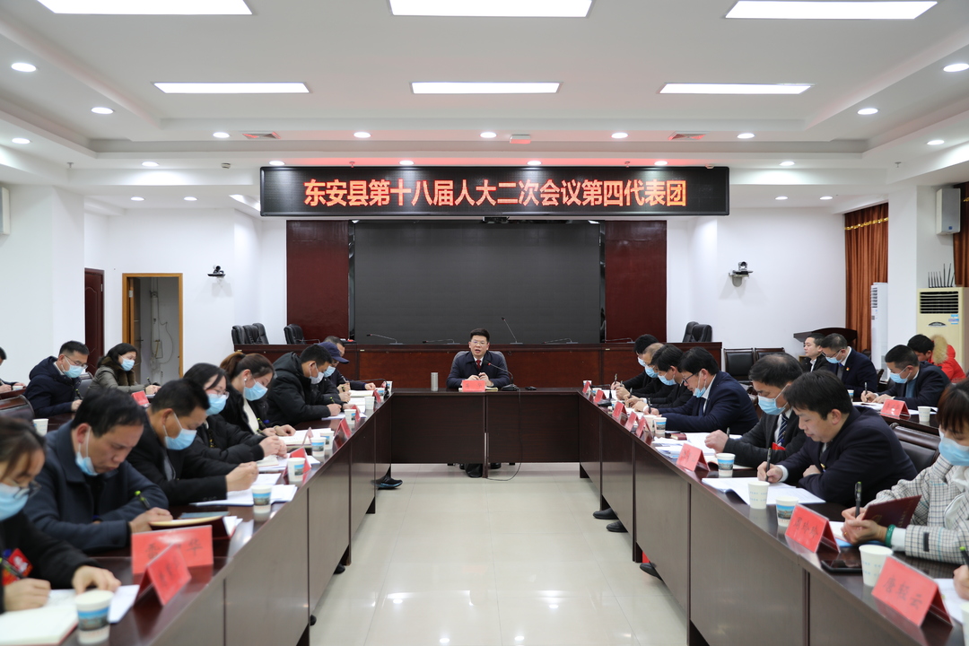 喜迎兩會 | 蔣華參加縣十八屆人大二次會議第四和第二代表團討論