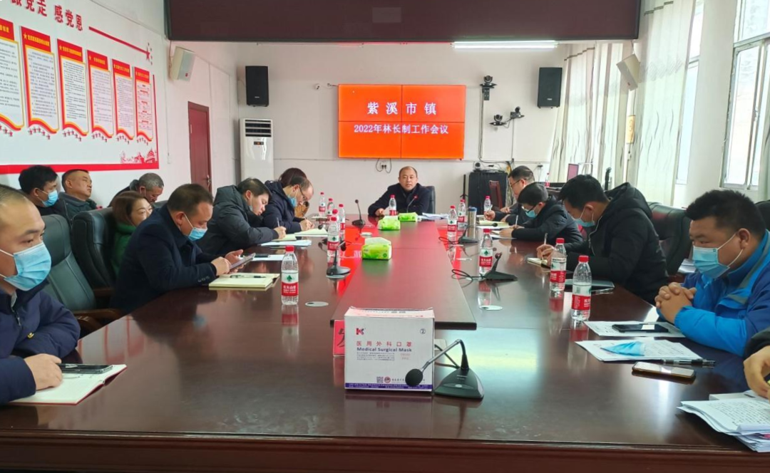 东安县紫溪市镇召开林长制工作专题会