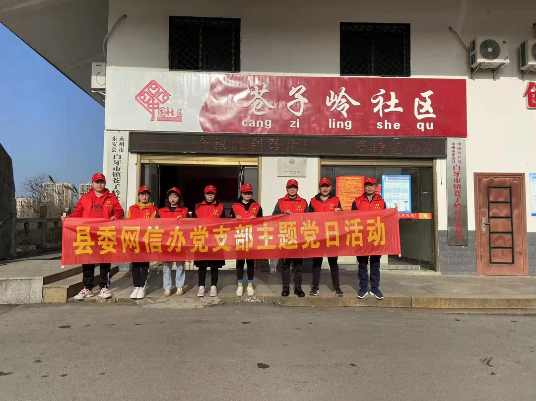 东安县委网信办开展主题党日活动