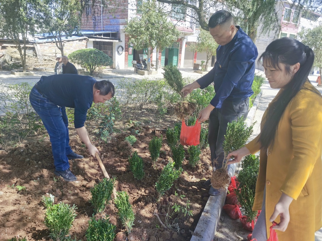 水岭学校组织开展义务植树活动
