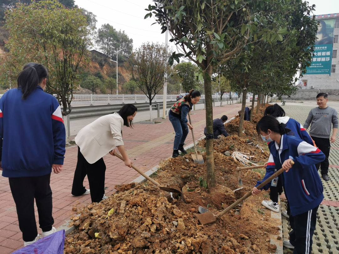 東安澄江中學：志愿植樹 黨團共建