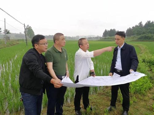 东安县2022年高标准农田建设项目正式启动