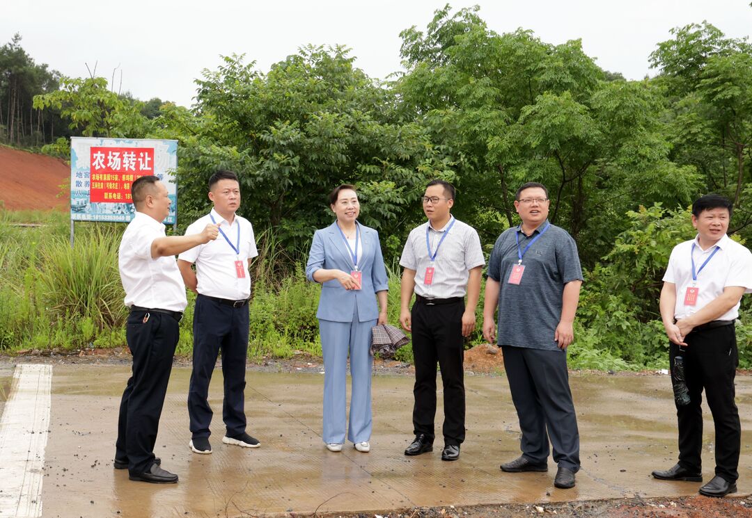 李瑞霞、劉國波帶隊督辦大會發言落實情況