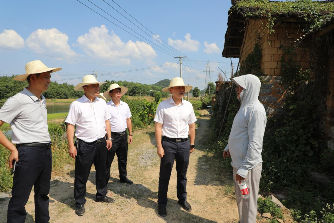 唐何督導檢查國調點糧食生產工作
