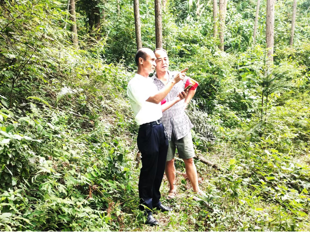 新圩江镇完成2022年上半年护林员履职巡护考核