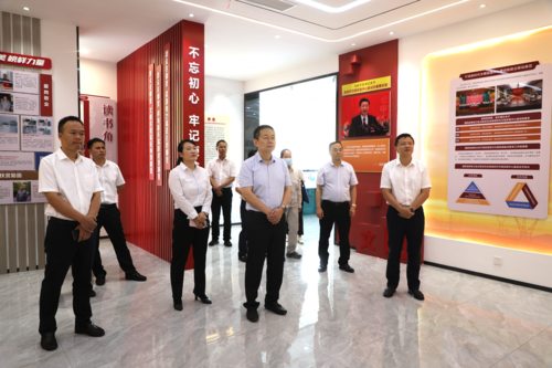 國網湖南省電力公司副總經理李榮來東調研新時代文明實踐掛點工作