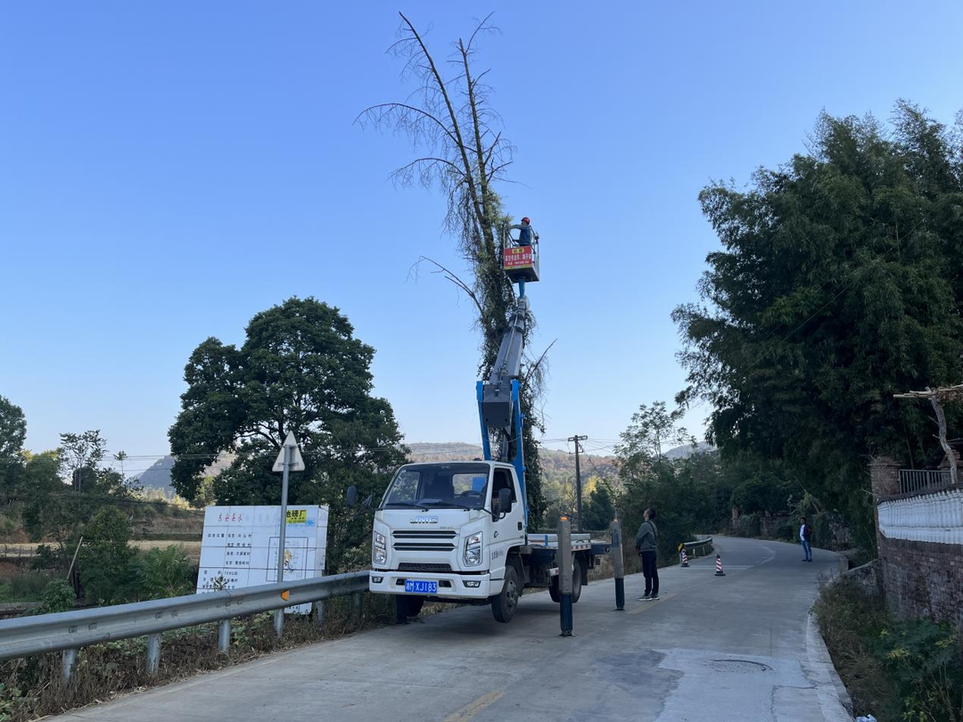 水嶺鄉：清除枯木保安全