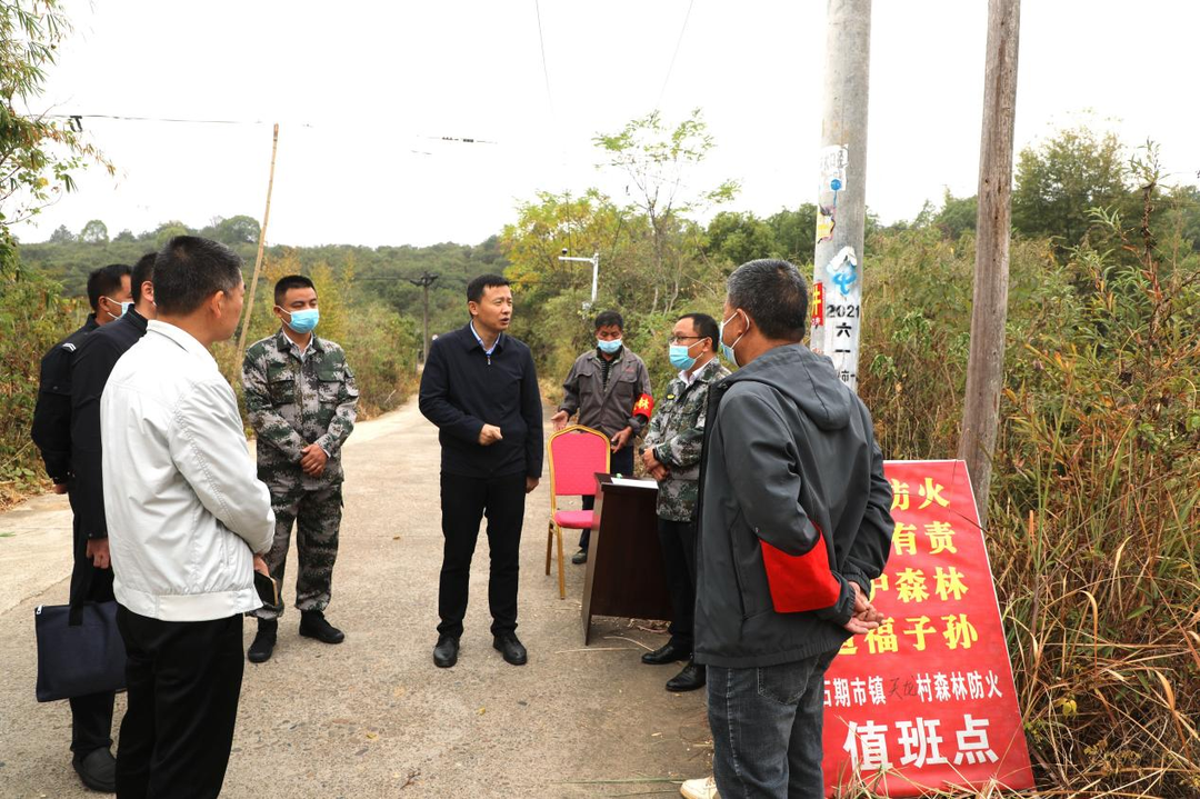 唐何到石期市鎮調研指導森林防滅火工作