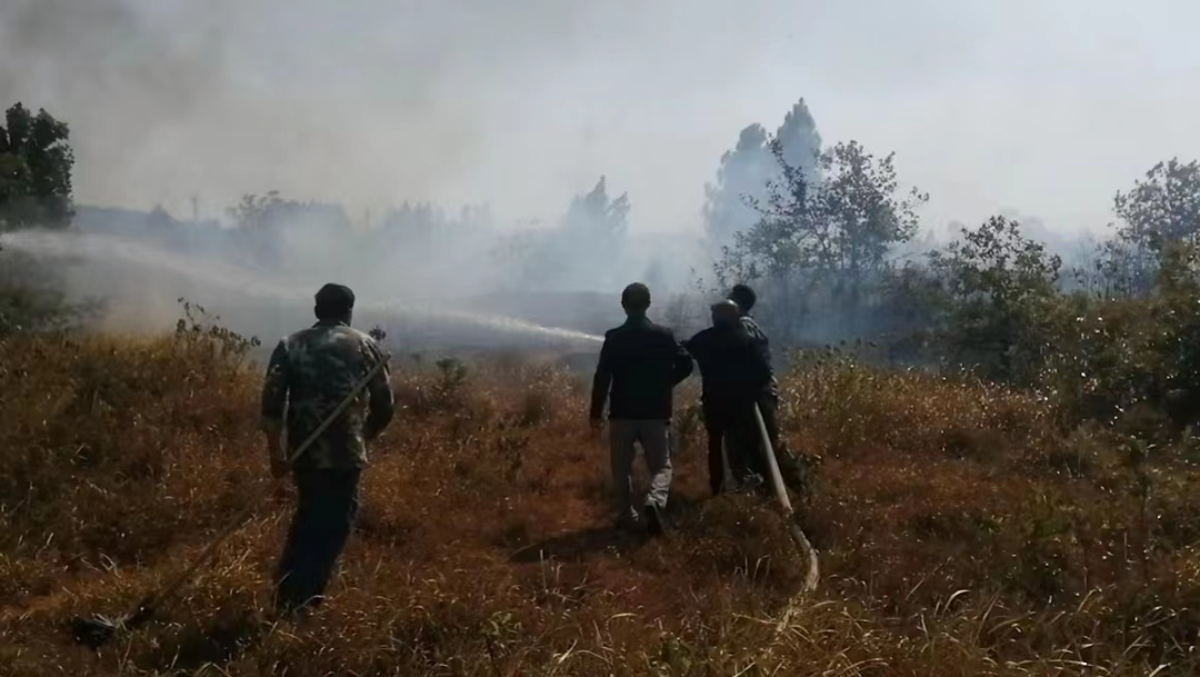 橫塘鎮：運用快反135機制，迅速撲滅一起山火