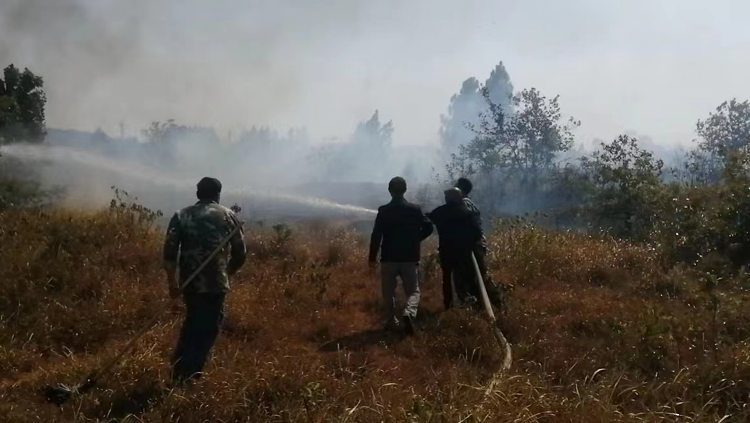 横塘镇：运用快反135机制，迅速扑灭一起山火