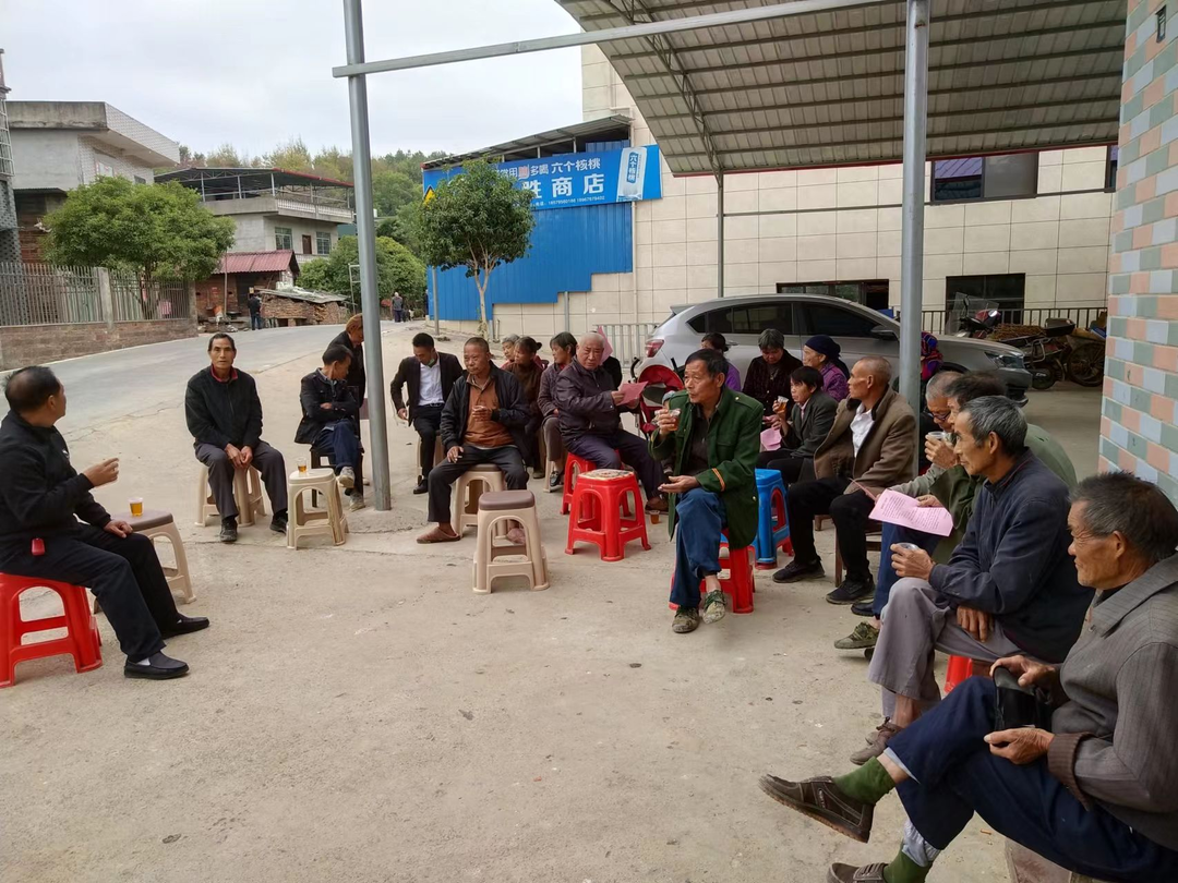 橫塘鎮鄉村振興月例會筑群眾森林防火心墻