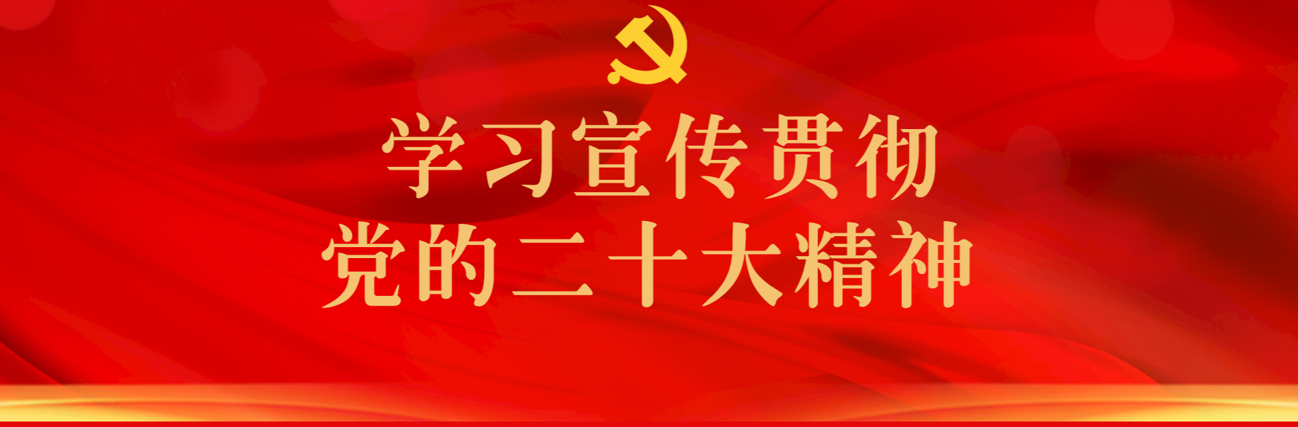 学习宣传贯彻党的二十大精神