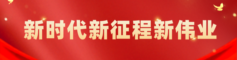 新时代新征程新伟业