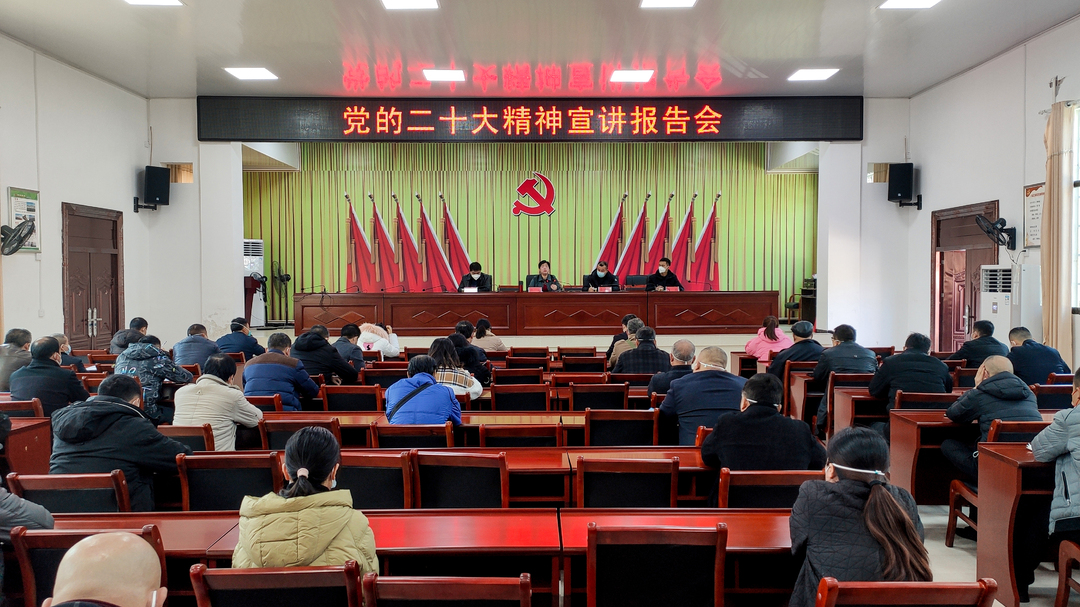 張波到大廟口鎮宣講黨的二十大精神