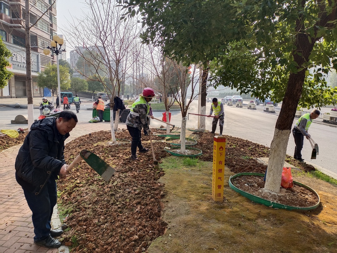 東安：街道綠化管護(hù)正當(dāng)時(shí)