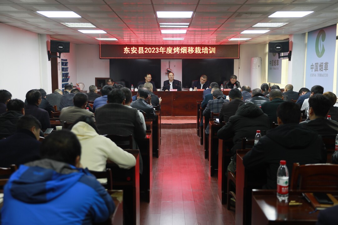 东安县召开2023年烤烟移栽现场会