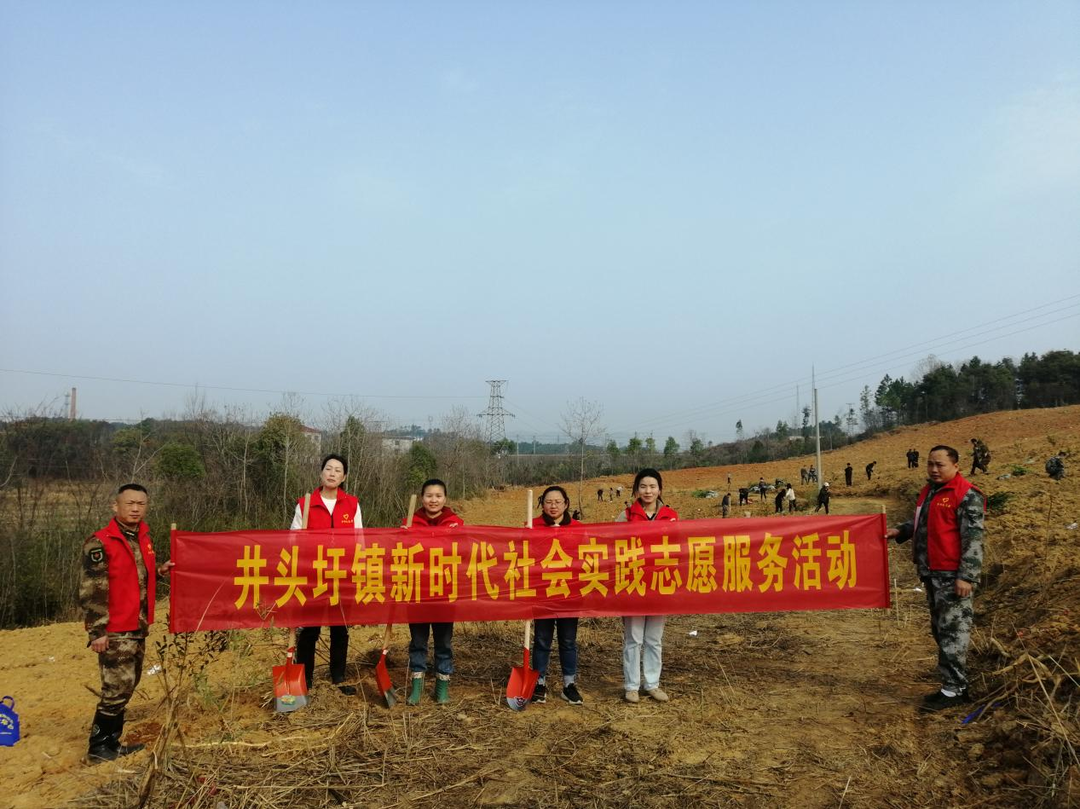 井頭圩鎮(zhèn)：春風(fēng)又綠湘江岸，志愿植樹正當(dāng)時(shí)