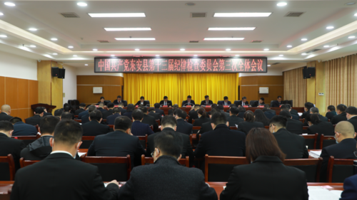 中共东安县第十三届纪律检查委员会第三次全体会议召开第二、三次会议