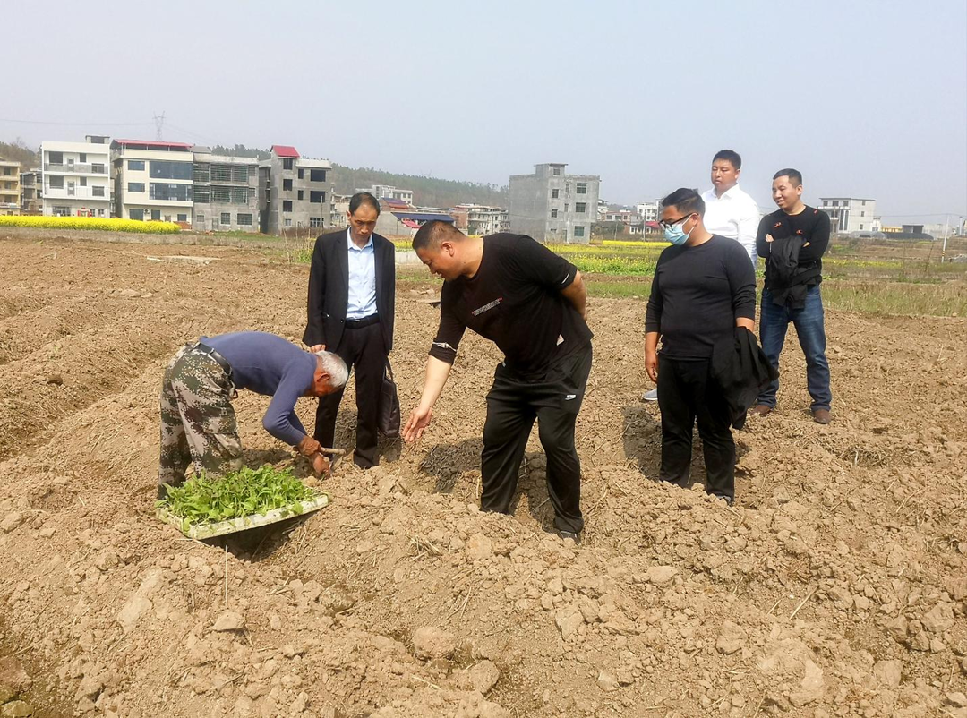 東安：科技特派員送“技”到田間