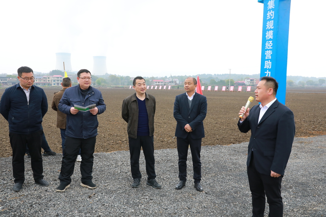 東安縣組織觀摩全縣早稻育秧暨高標(biāo)準農(nóng)田建設(shè)