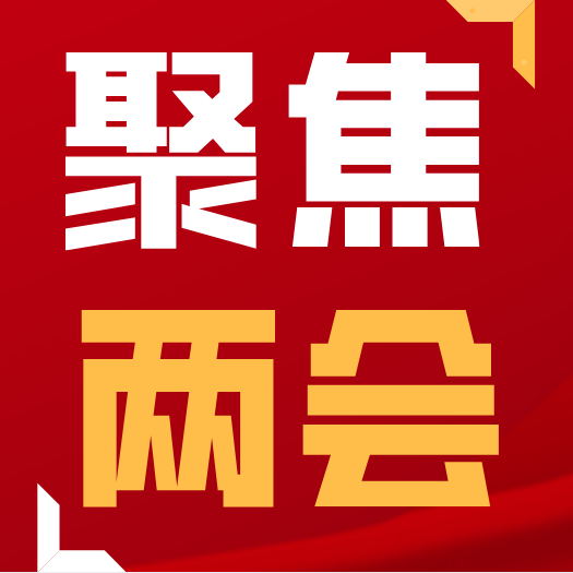 【聚焦兩會】李月紅參加政協東安縣十屆三次會議第二聯組討論