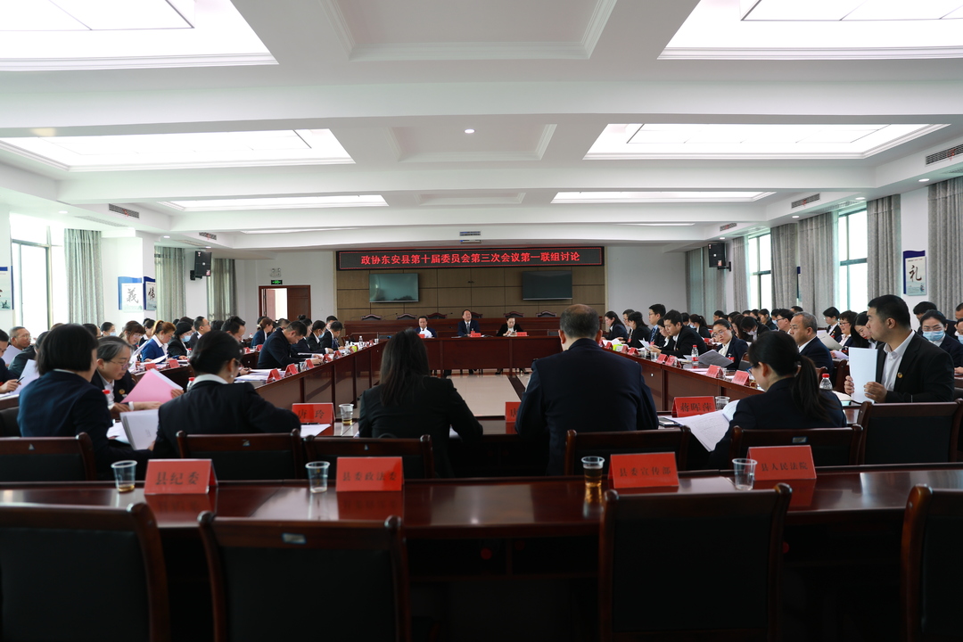 【聚焦两会】政协东安县十届第三次会议开展联组讨论