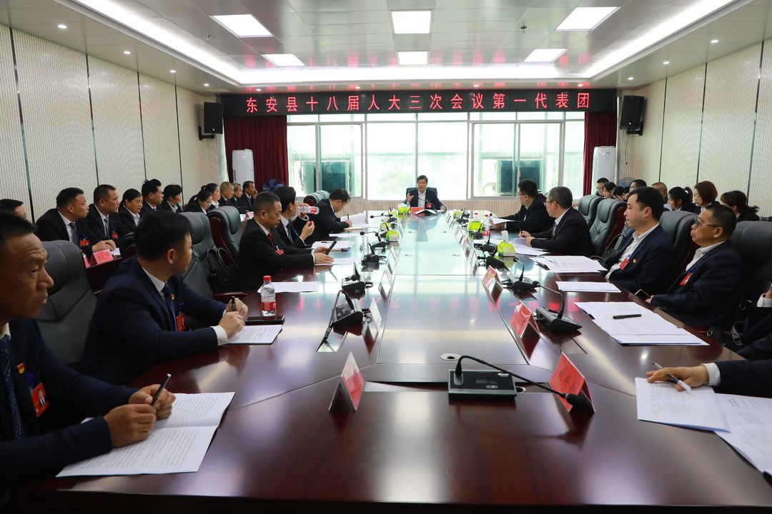 【聚焦两会】县十八届人大三次会议各代表团审查政府工作报告