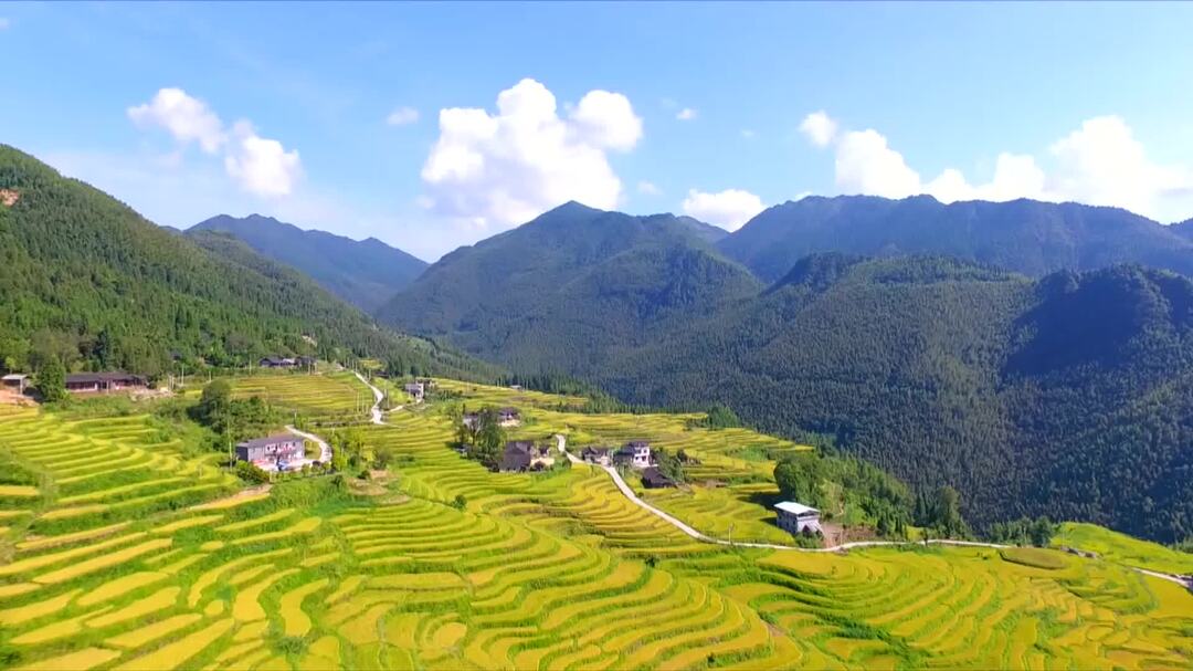 故鄉印象——塘家梯田