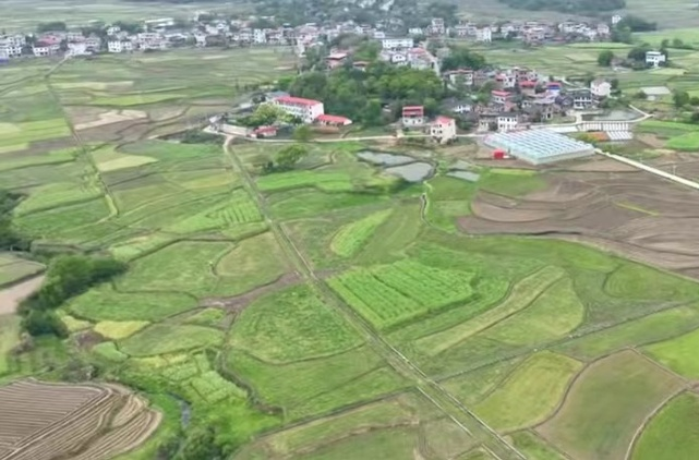 扛牢責任·搶抓農時②丨端橋鋪鎮：推行“田管家”托管式服務助力春耕生產