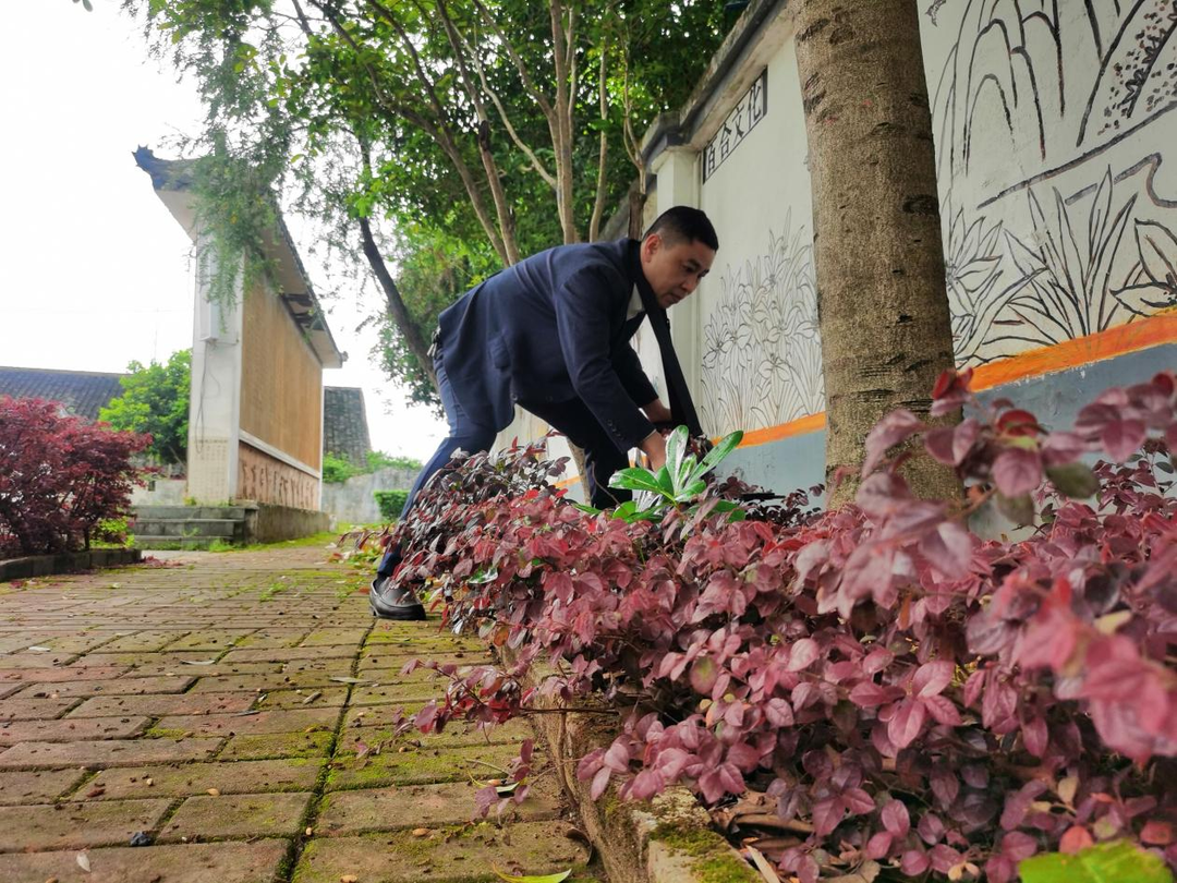 水嶺鄉：推動人居環境整治工作 切實提高群眾“幸福感”