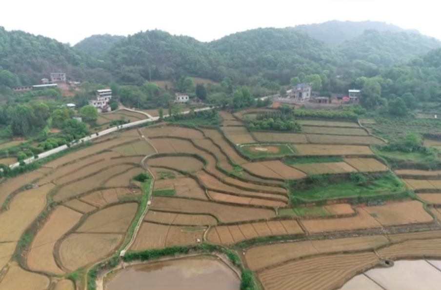 扛牢責(zé)任·搶抓農(nóng)時⑤ | 水嶺鄉(xiāng)：抽水灌溉抗春旱　全力以赴保春耕