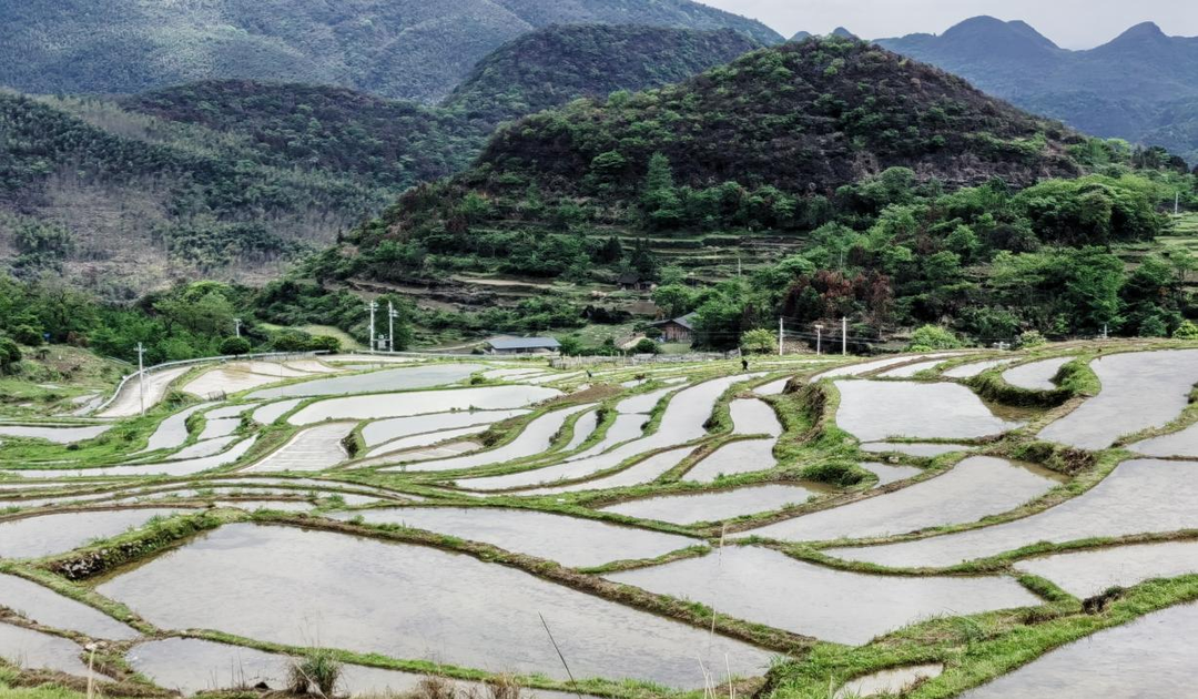 永州東安：高山梯田播種忙