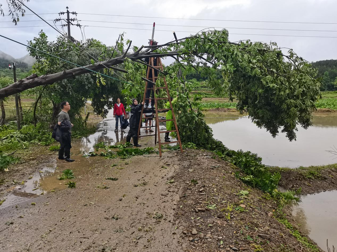 水岭乡：干部群众齐聚力  清理路障保通行