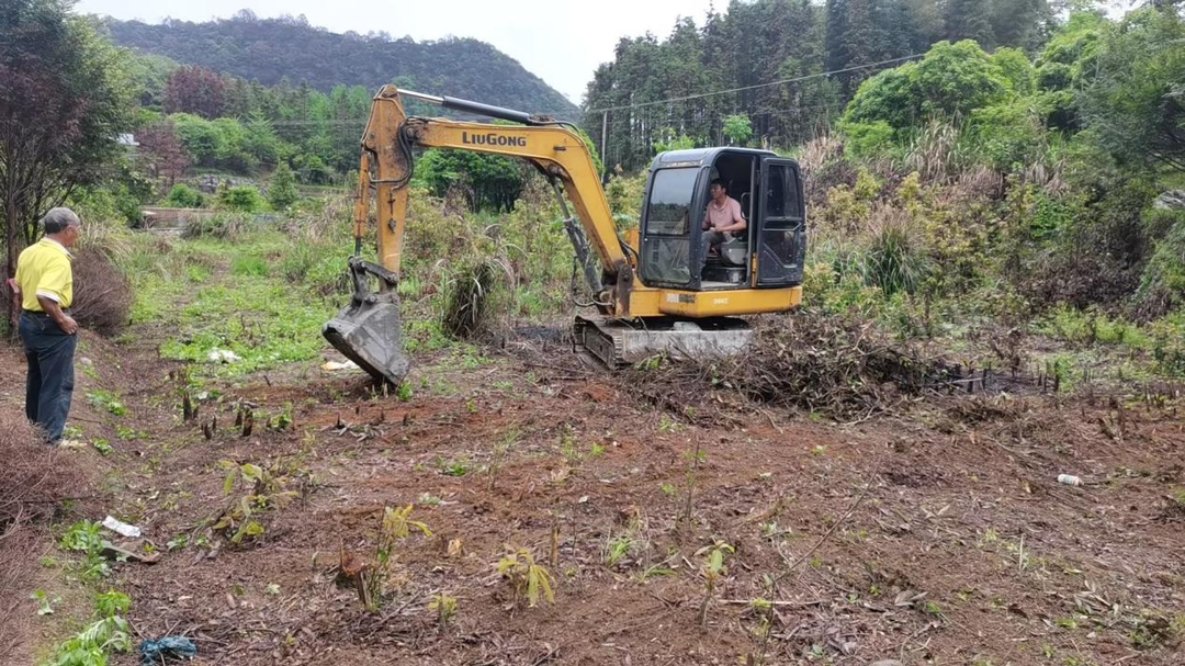 大庙口镇：党建引领助推耕地“双非”治理