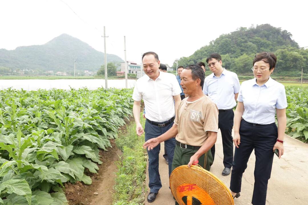 李勁濤帶隊(duì)到橫塘鎮(zhèn)大坪村調(diào)研指導(dǎo)鄉(xiāng)村振興工作