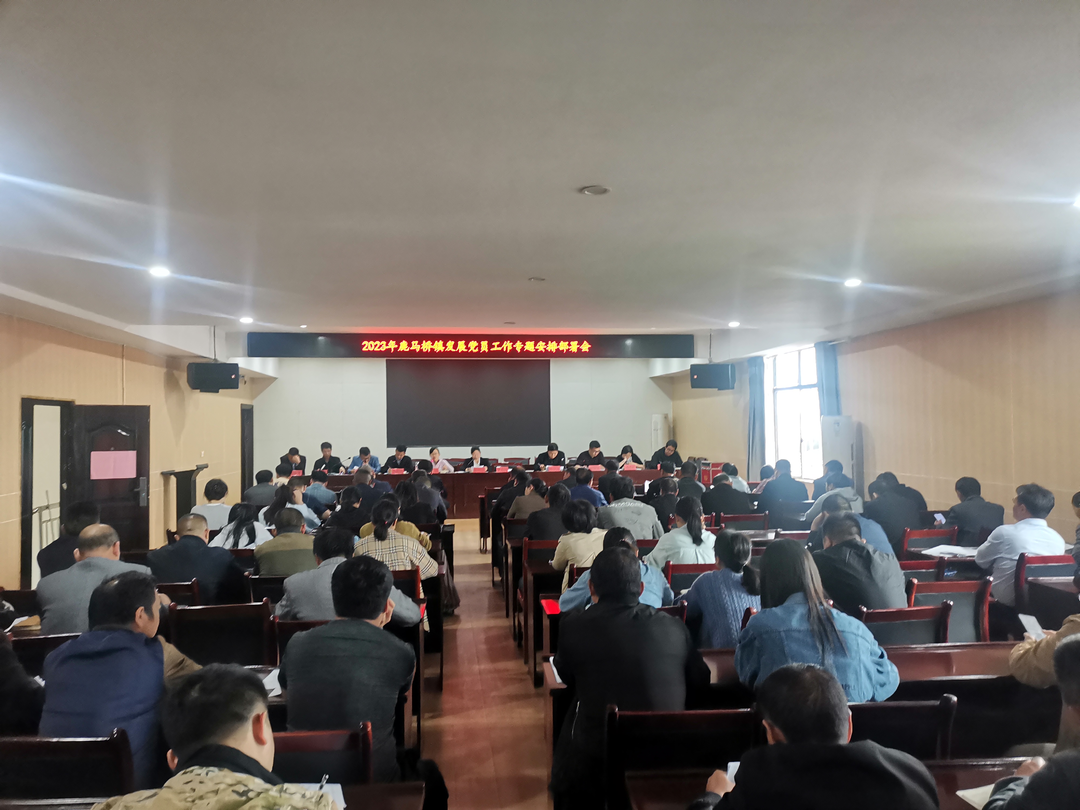 鹿马桥镇召开2023年发展党员工作专题安排部署会